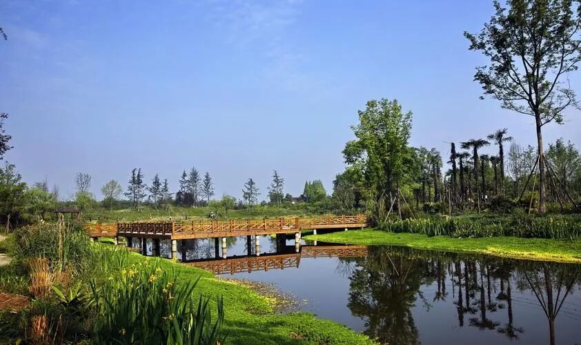 碩亞微科普|人工濕地的去污機制（二）-碩亞環(huán)保