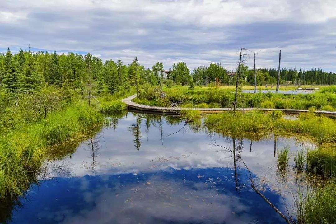 碩亞微科普|人工濕地關(guān)鍵組成因子的作用（一）