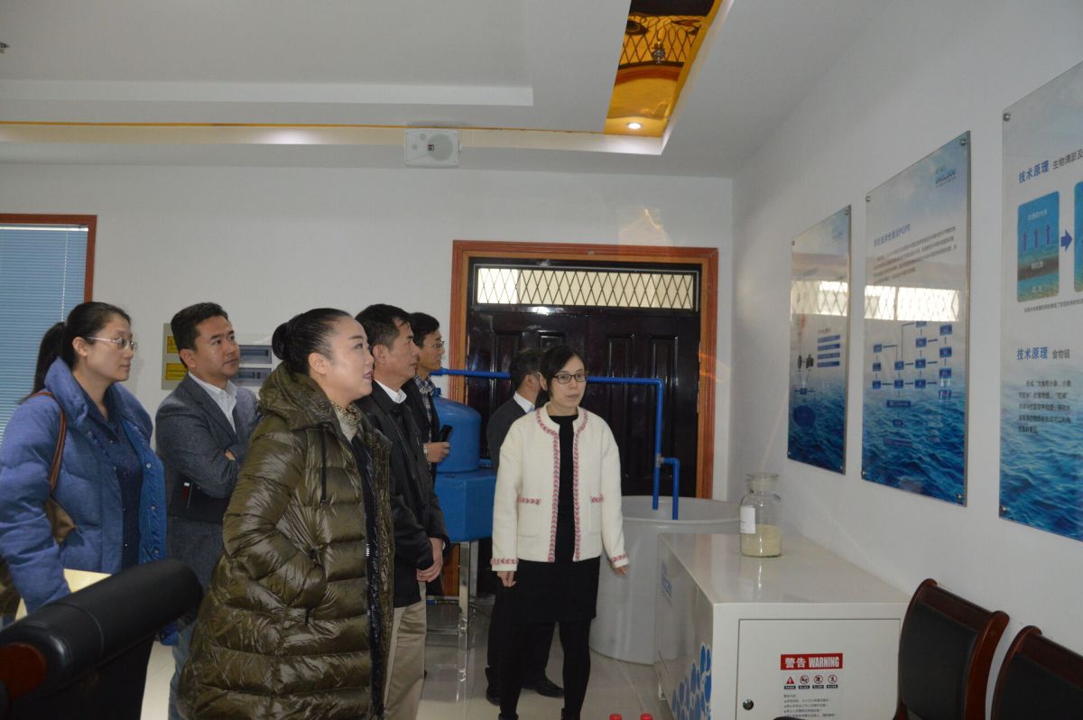 中日水環(huán)境治理合作調(diào)研團(tuán)蒞臨公司參觀指導(dǎo)-碩亞環(huán)保