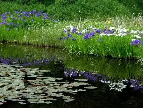 u=2025813130,3429982336&fm=26&fmt=auto.webp.jpg