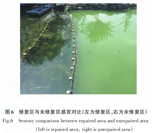 碩亞微科普|再生水補給城市河湖水生態(tài)系統(tǒng)構建及管護技術體系研 究應用—以圓明園為例