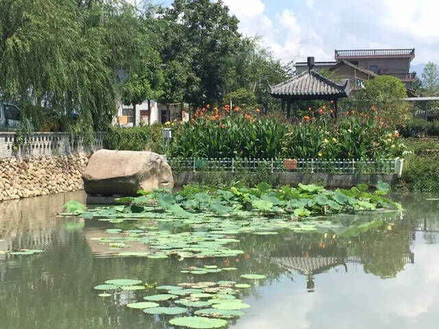 碩亞微科普|17個農村生活廢水處理技術