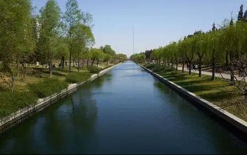 碩亞微科普|什么是黑臭水體