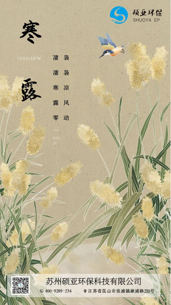 寒露|復(fù)工返崗，再次出發(fā)