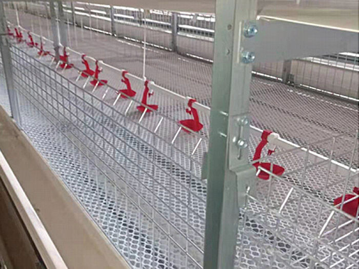 蛋鸡笼养设备都是有哪些？