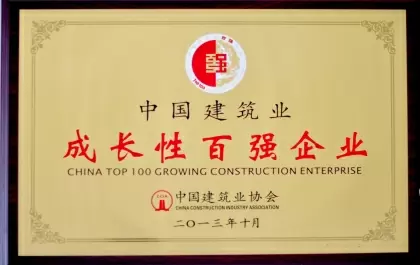 2013年中国成长性百强