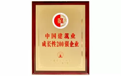 2016年中国建筑业成长性200强企业