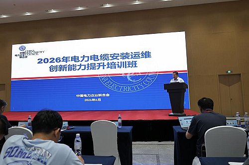 图片电缆2