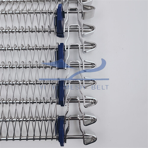 侧齿轮传动网带