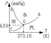 1575355432361382.jpg