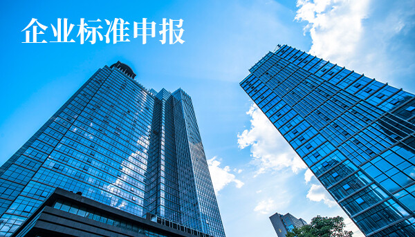 企业标准申报