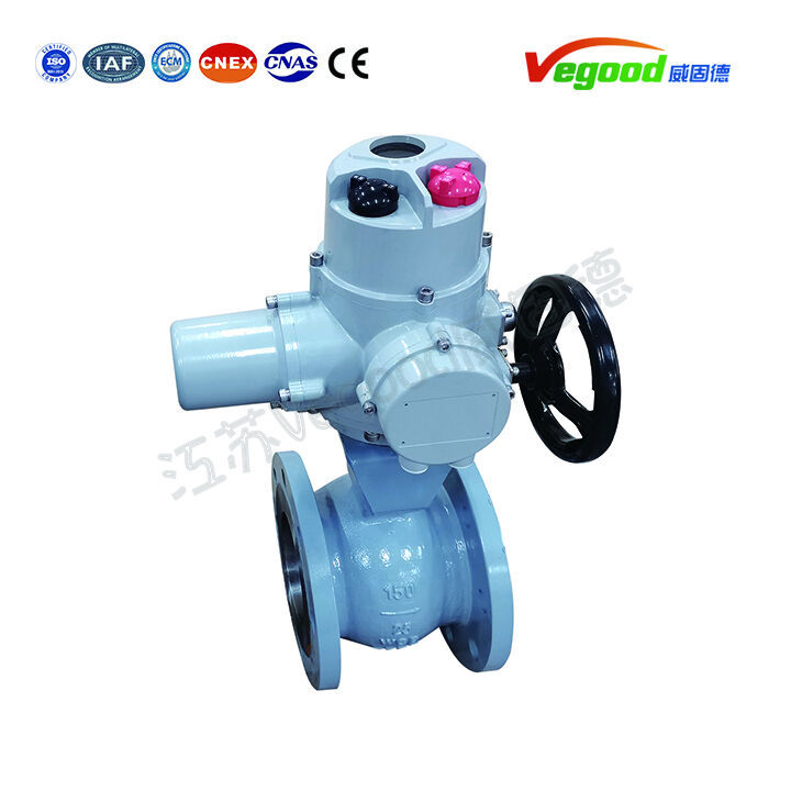VGDQ系列配套-电动偏心半球阀.jpg