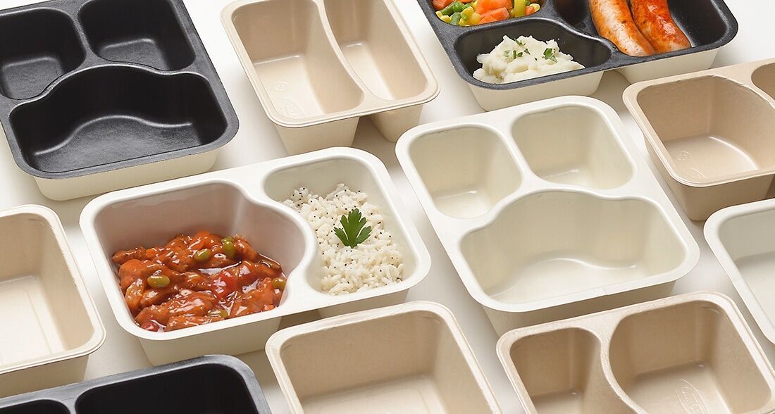 biodegradable food tray (37).jpg
