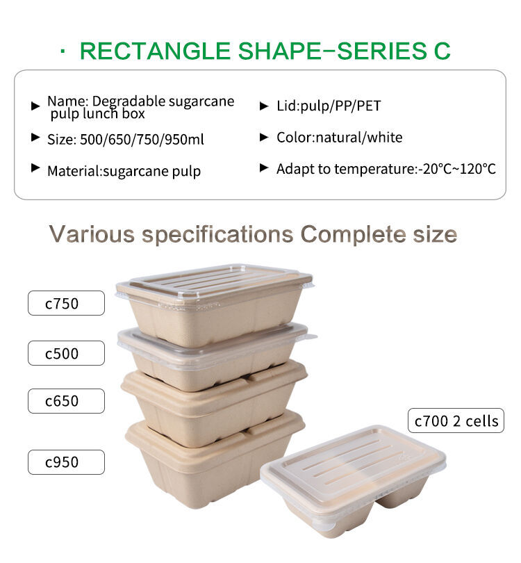 FC series rectangular sugar cane pulp lunch box (2