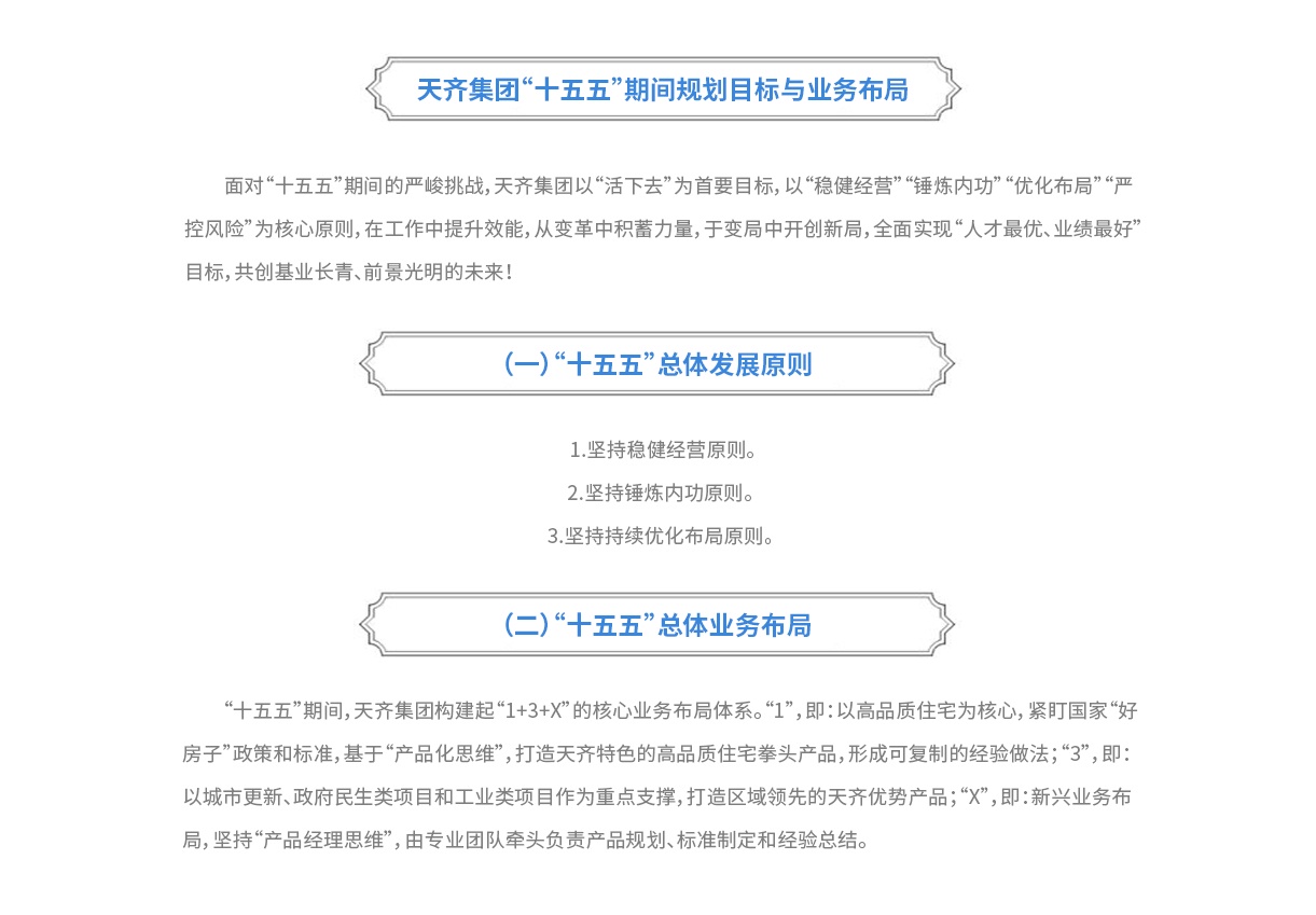 发展战略 拷贝