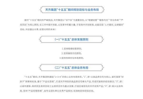 发展战略 拷贝
