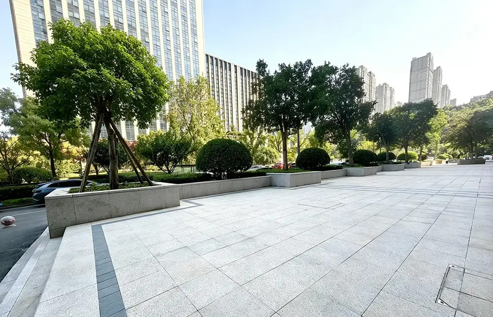 配图3 “城市更新”赋能“资产经营” ——玉兰广场提升优质功能配套与综合服务能力驱动经营创效