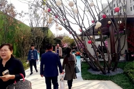 天齐·花溪地景观示范区盛大开放