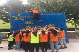 淄博区域总部开展大学生员工五阳湖基地团队拓展活动