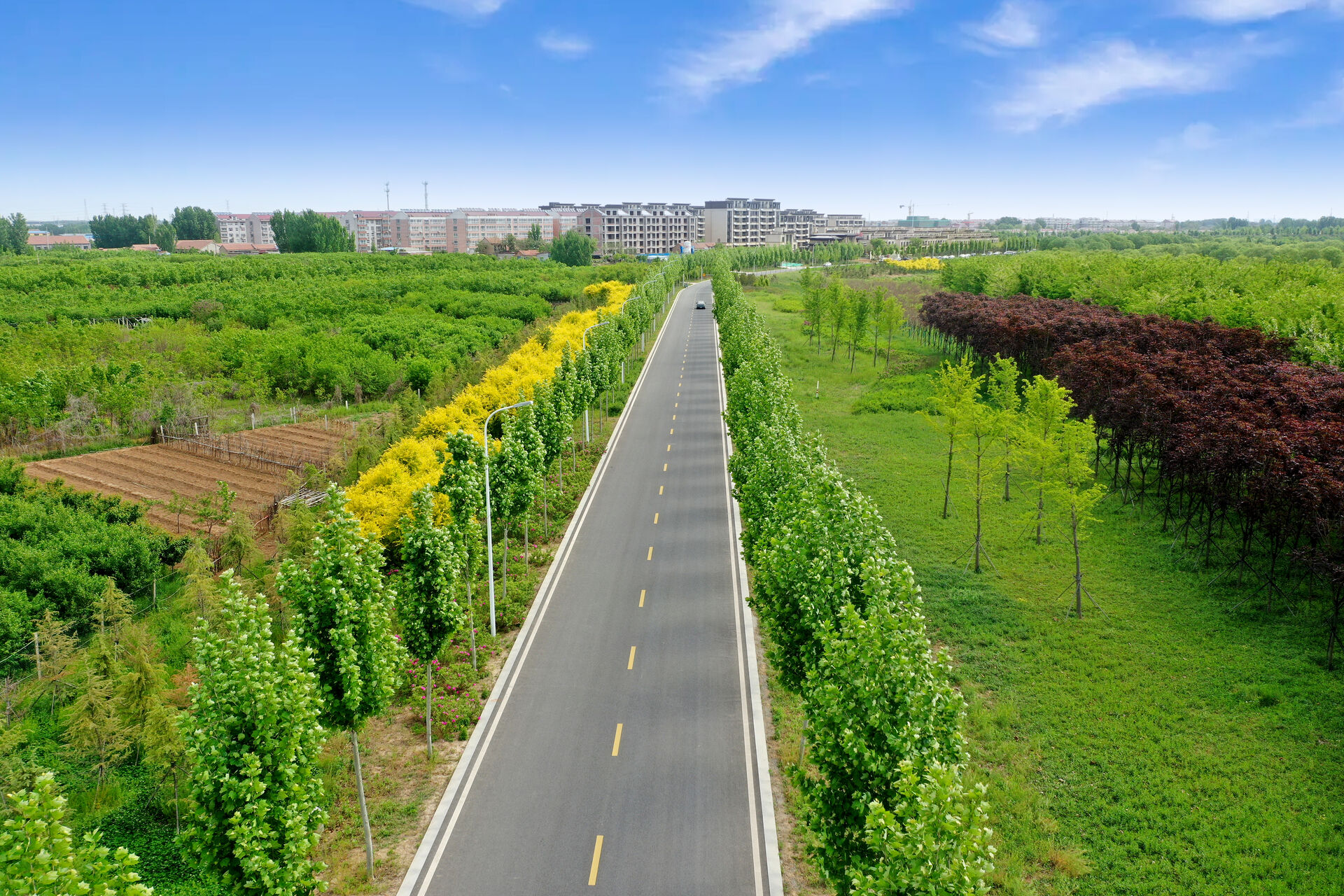 淄博市范阳河综合整治（生态修复）工程道路系统工程一标段（淄博市市政金杯示范工程）