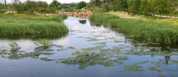 洪流泊镇泊南河综合整治工程