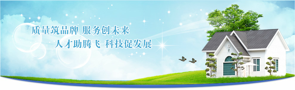 DC DC电源模块 模块电源 AC DC转换器 开关电源 交流直流变换器 电力电子方案1/16 1/8 1/4 1/2 十六分之一 八分之一 四分之一 半砖 全砖sixteenth eighth quarter half full brick