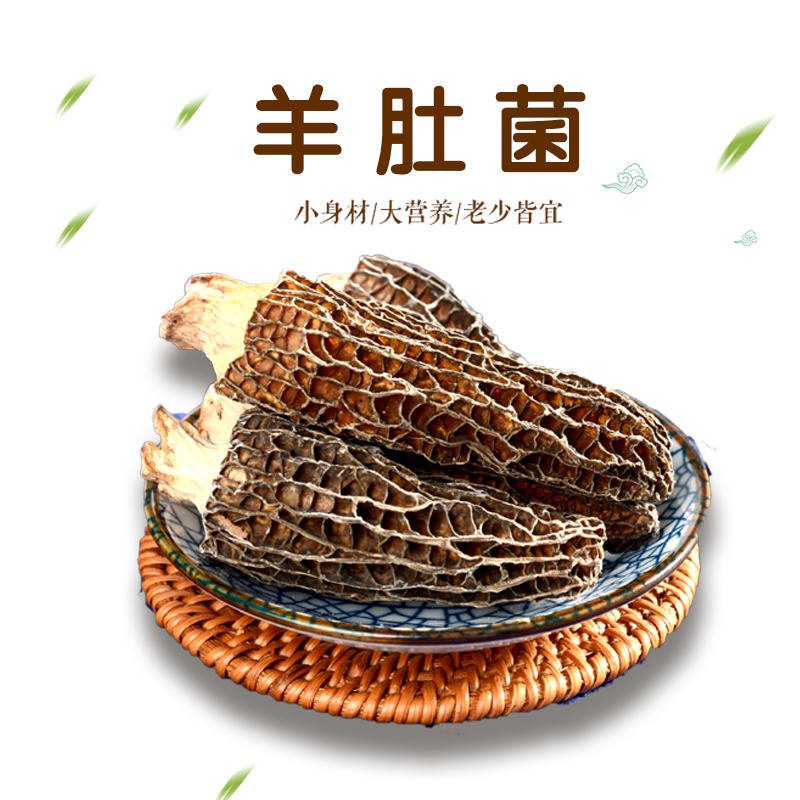 遇见八珍系列-羊肚菌