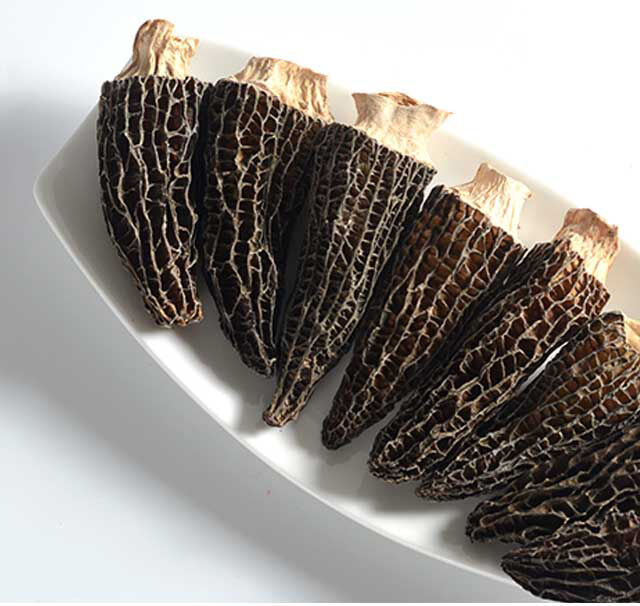 遇见八珍系列-羊肚菌