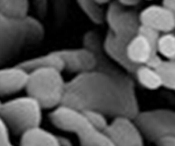 TY-204耐火材料用高温氧化铝