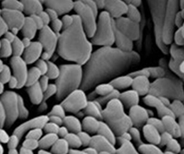 TY-204耐火材料用高温氧化铝