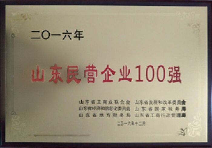 荣获2016年山东民营企业100强