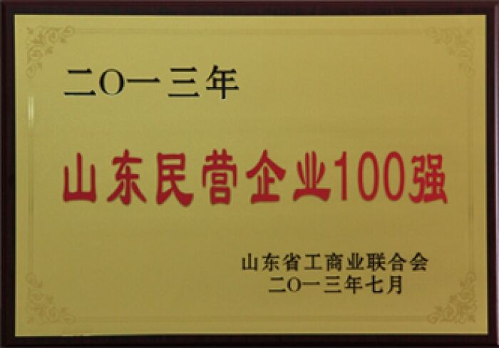 荣获2013年山东民营企业100强