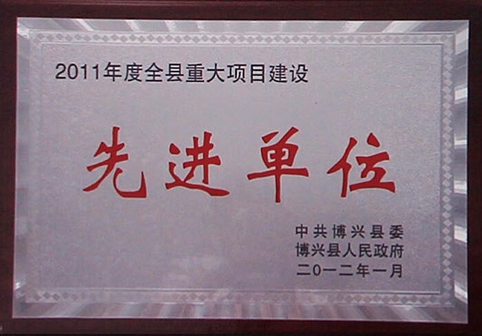 荣获2011年度全县重大项目建设先进单位
