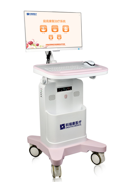 盆底康复治疗系统
