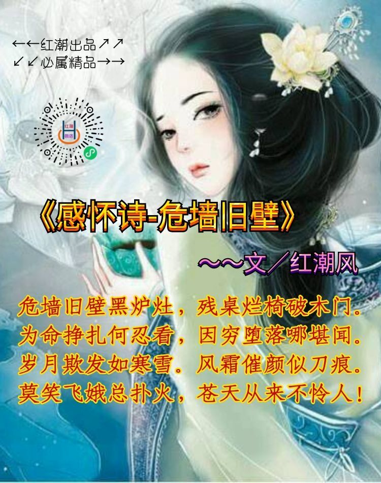 《感怀诗-危墙旧壁》