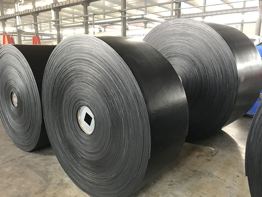 Ordinary conveyor belt