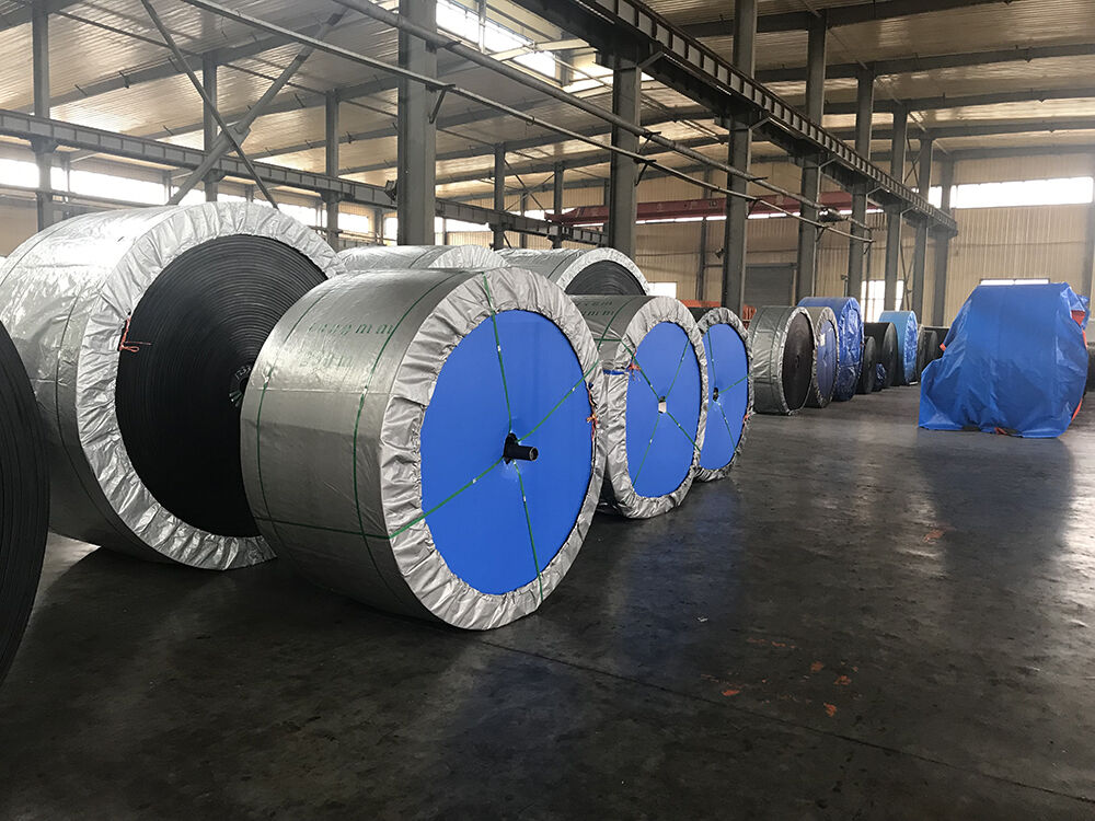 Polyester conveyor belt