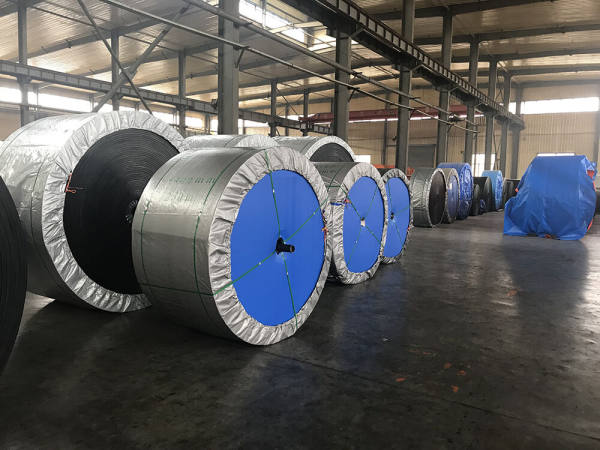 Polyester conveyor belt
