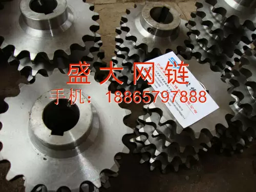 不锈钢链轮