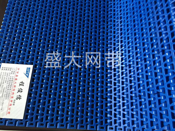 塑料網(wǎng)帶 塑料網(wǎng)帶