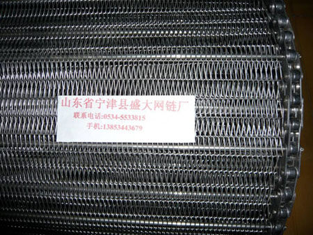 不锈钢输送网链