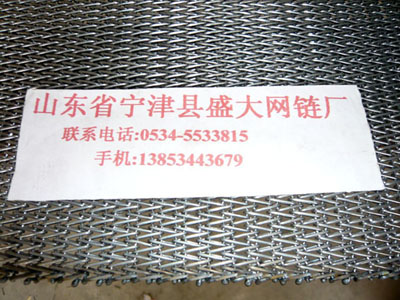不锈钢输送链网