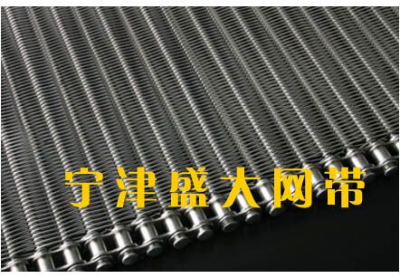 不銹鋼鏈網 不銹鋼鏈網