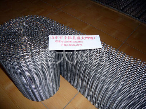 输瓶机用小网带