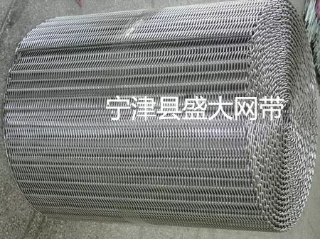 输送网带