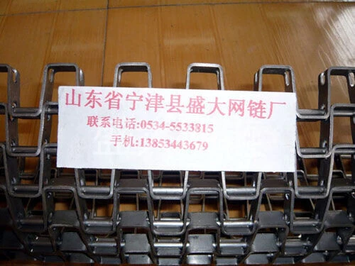 U型链条网带