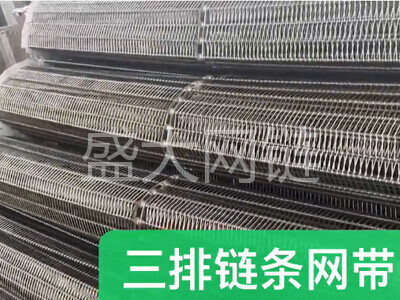 链条输送网带