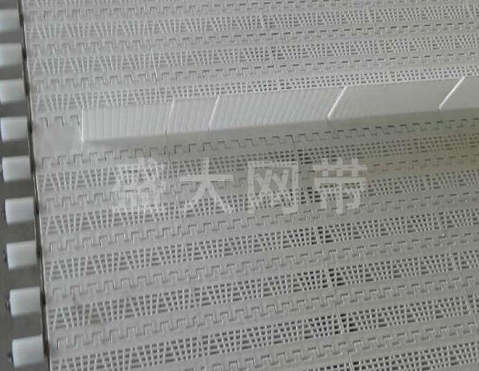 塑料網(wǎng)帶 塑料網(wǎng)帶