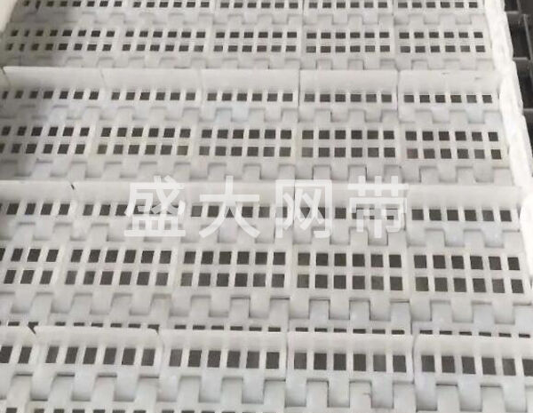塑料網帶 塑料網帶