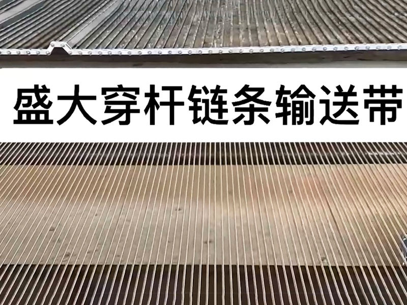 穿杆链条输送带